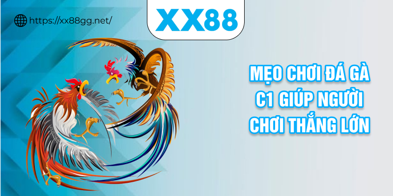 Mẹo chơi đá gà c1 giúp người chơi thắng lớn