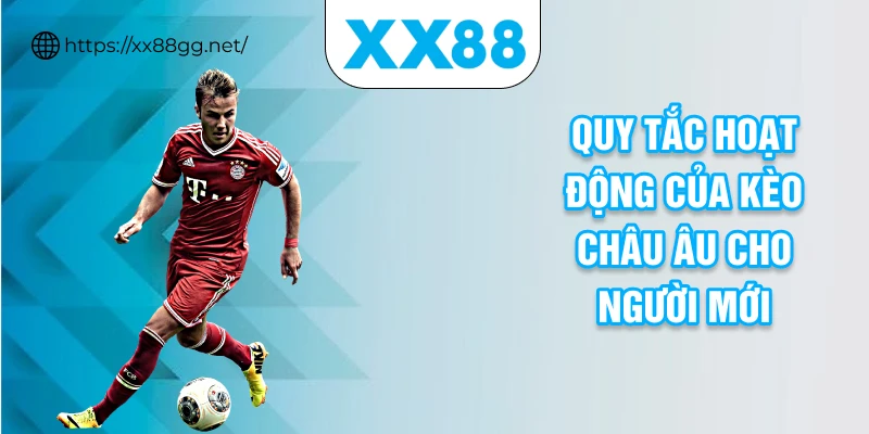 Quy tắc hoạt động của kèo châu Âu cho người mới